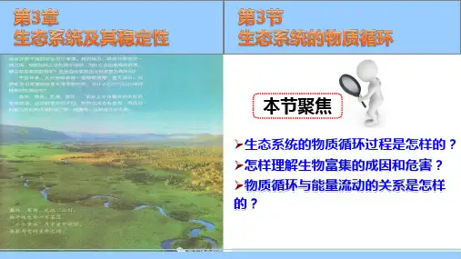 生物人教版(2019)选择性必修2 3.3生态系统的物质循环(共38张ppt)
