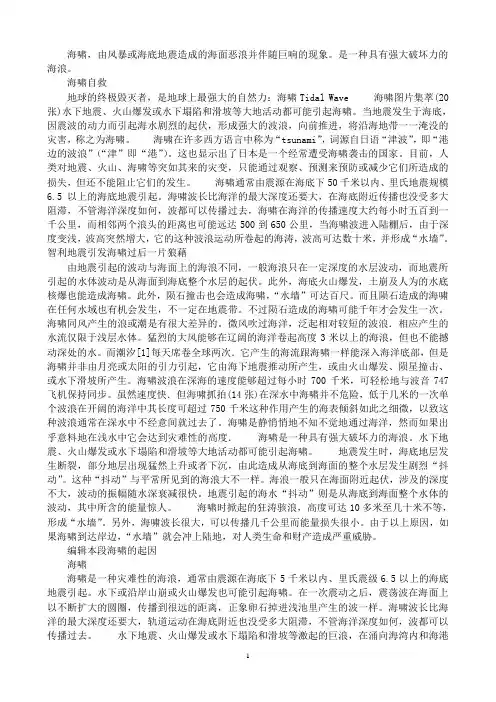 海啸