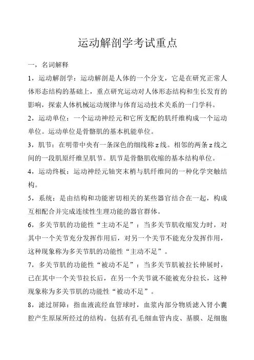 运动解剖学考试重点