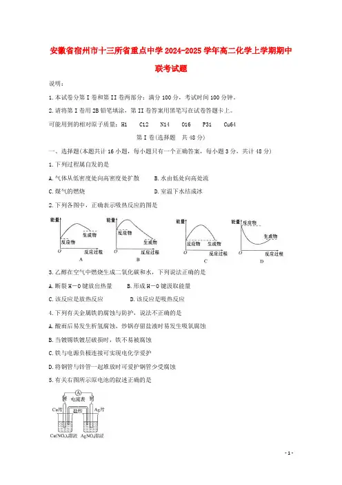 安徽省宿州市十三所省重点中学2024_2025学年高二化学上学期期中联考试题