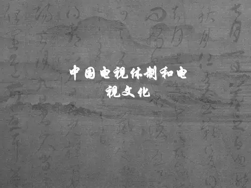 中国广播电视体制概要