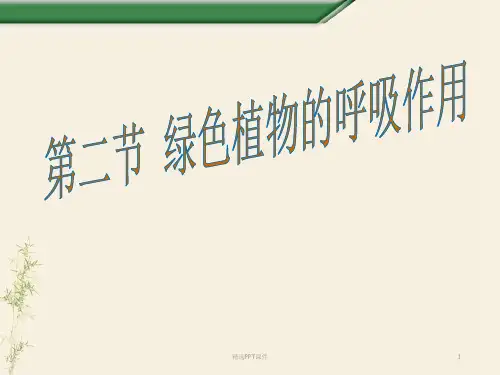 呼吸作用-完整ppt课件