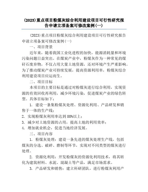 (2023)重点项目粉煤灰综合利用建设项目可行性研究报告申请立项备案可修改案例(一)