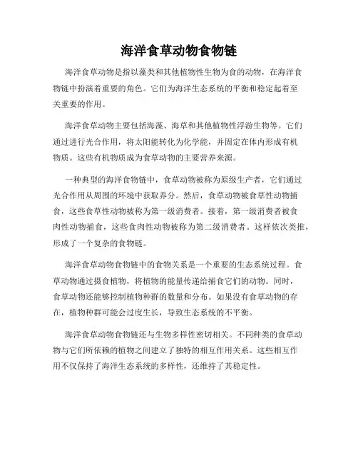 海洋食草动物食物链