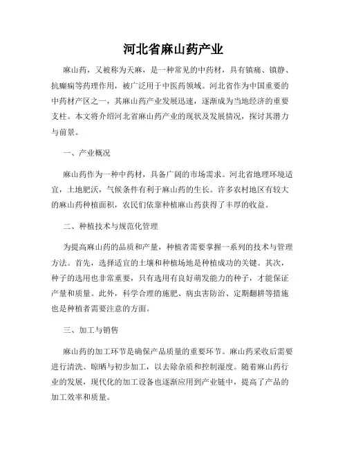 河北省麻山药产业