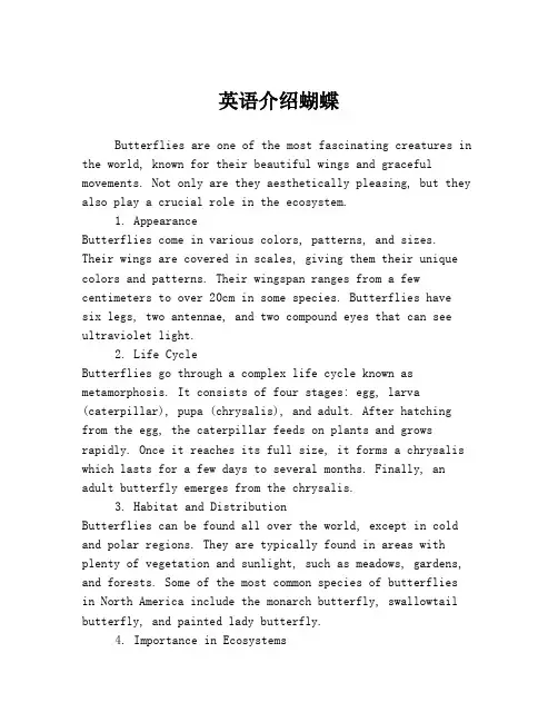 英语介绍蝴蝶