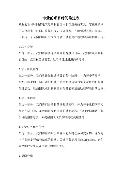 专业的项目时间推进表