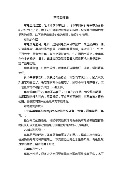 草龟怎样养