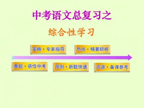 中考语文总复习之综合性学习