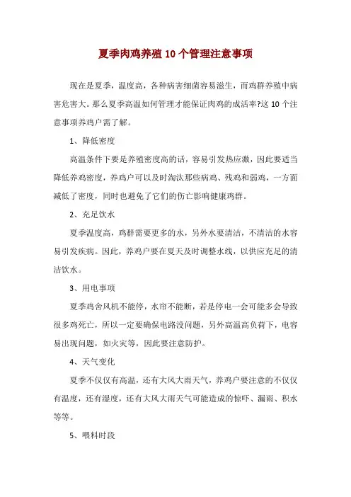 夏季肉鸡养殖10个管理注意事项