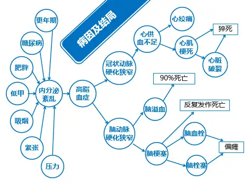动脉硬化的动物模型教程