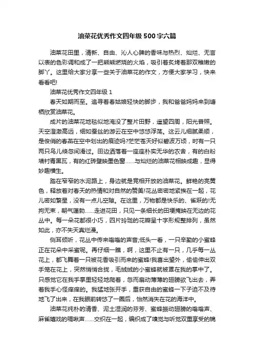 油菜花优秀作文四年级500字六篇