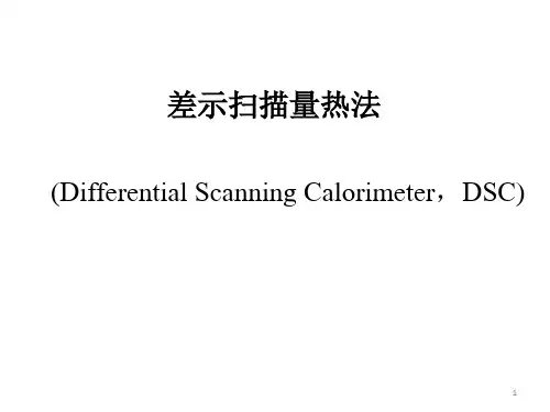 差示扫描量热法(DSC)ppt课件