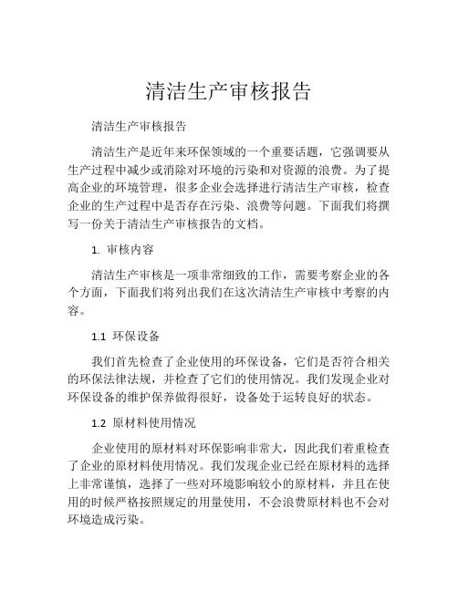 清洁生产审核报告