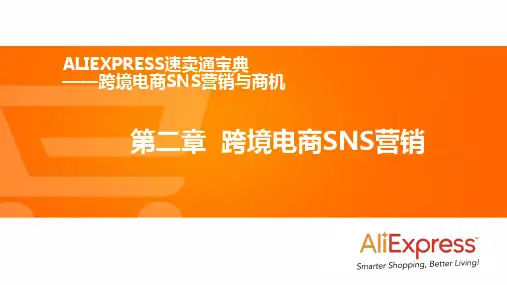 第二章 跨境电商SNS营销