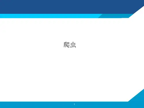 数据仓库与OLAP实践