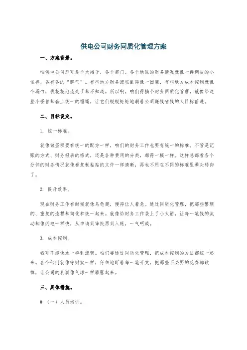 供电公司财务同质化管理方案
