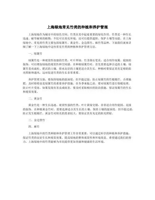 上海绿地常见竹类的种植和养护管理