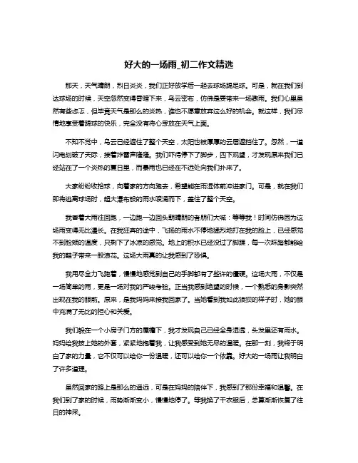 好大的一场雨_初二作文精选