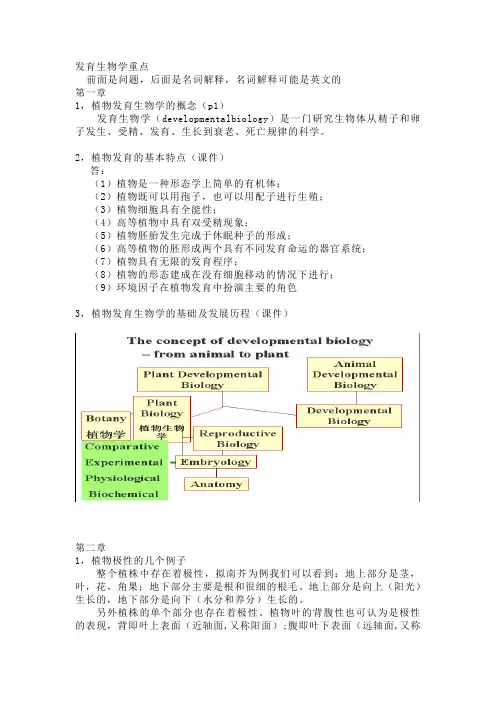 发育生物学(小小完善版))资料