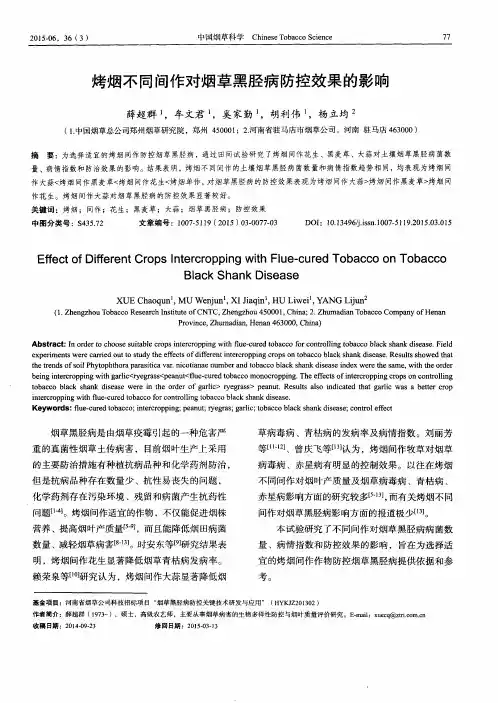 烤烟不同间作对烟草黑胫病防控效果的影响
