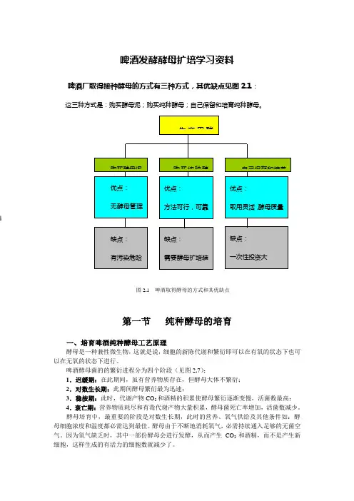 啤酒发酵酵母扩培学习资料