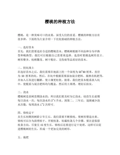 樱桃的种植方法