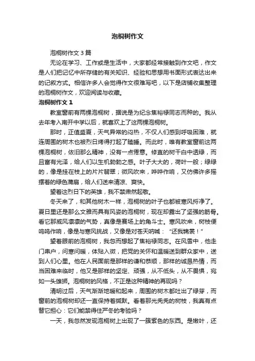 泡桐树作文