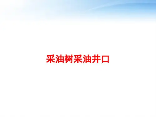 采油树采油井口 ppt课件