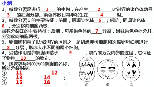 基因在染色体上课件高一下学期生物人教版必修2(3)