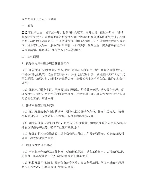 农经站负责人个人工作总结