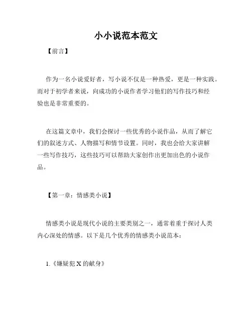 小小说范本范文