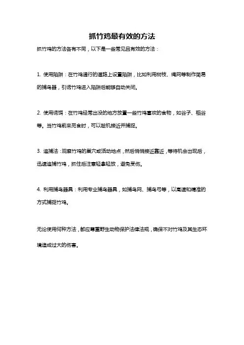 抓竹鸡最有效的方法