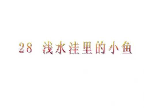《浅水洼里的小鱼》ppt课件1