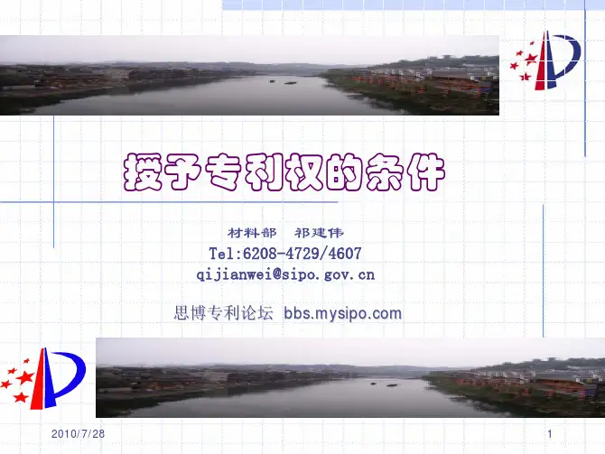 授予专利权的条件-祁建伟