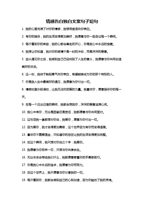 情感告白独白文案句子短句