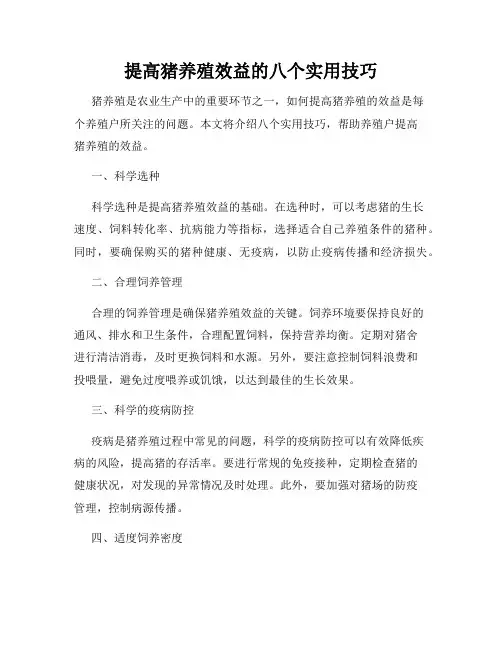 提高猪养殖效益的八个实用技巧