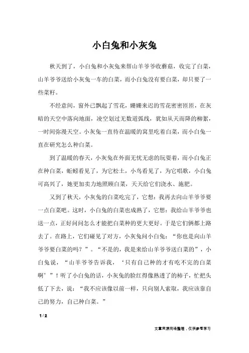 小白兔和小灰兔_小学作文