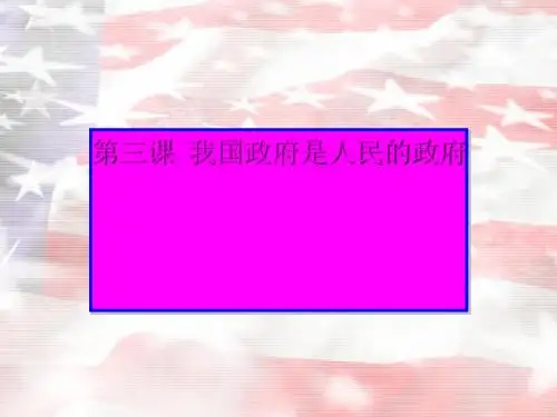 政府的职能：管理和服务PPT课件4 人教课标版