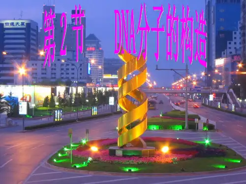 DNA分子的结构青年教师大赛获奖示范课公开课一等奖课件省赛课获奖课件