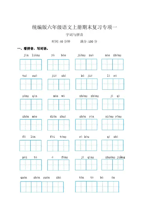 期末复习专项一字词与拼音-2024-2025学年统编版语文六年级上册