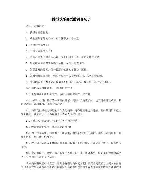 描写快乐高兴的词语句子