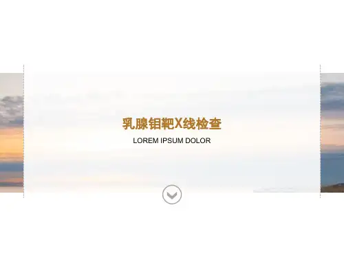 乳腺钼靶X线检查