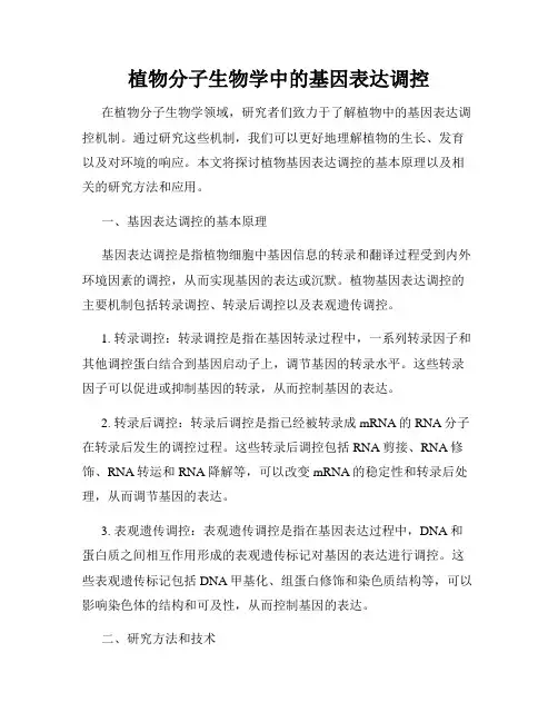 植物分子生物学中的基因表达调控