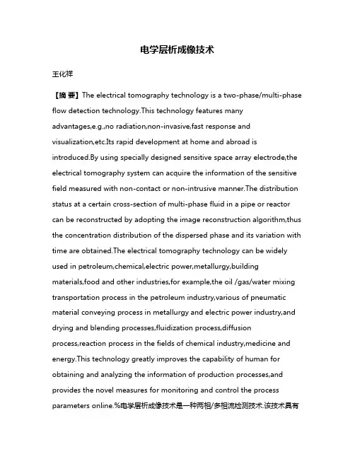 电学层析成像技术