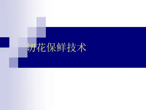 切花保鲜