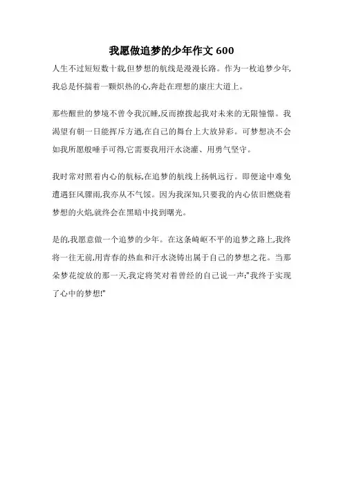我愿做追梦的少年作文600