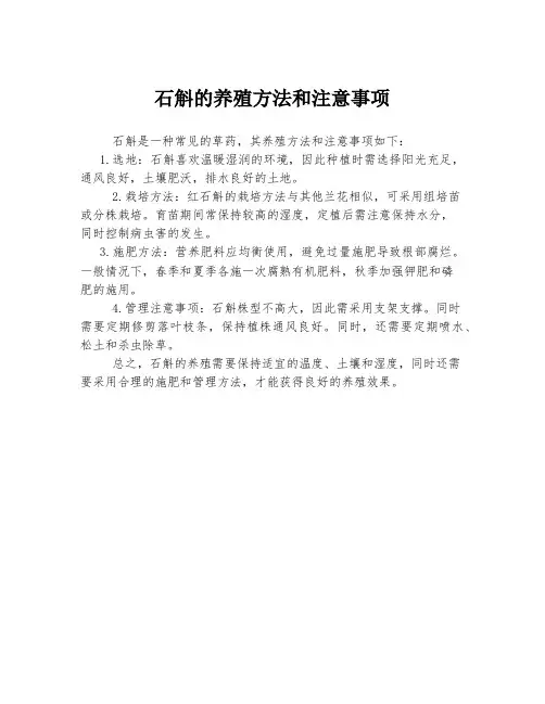 石斛的养殖方法和注意事项