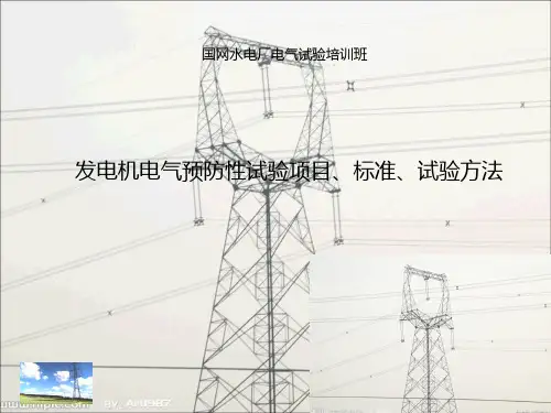 发电机电气预防性试验项目、标准、试验方法