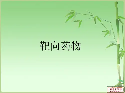 靶向 幻灯片